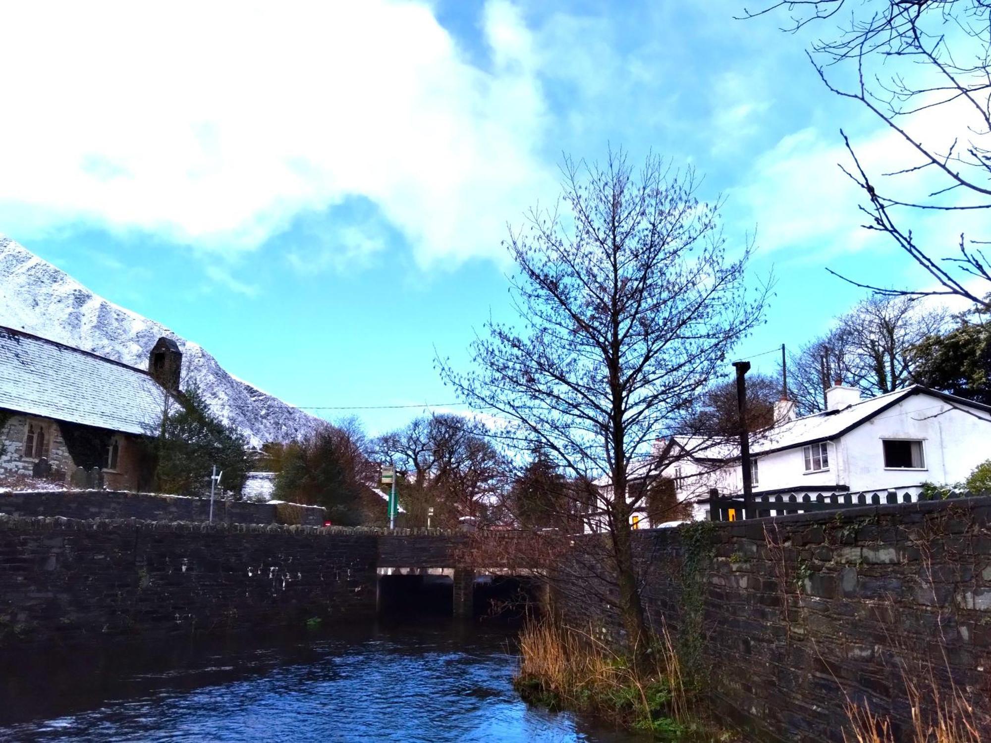 Pen-Y-Bont Hotel Tal-y-llyn Экстерьер фото